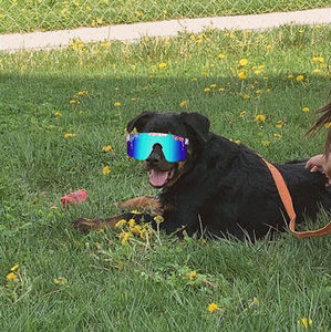 Meet your Posher, Music